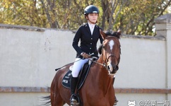 漫画大全之无彩翼漫母